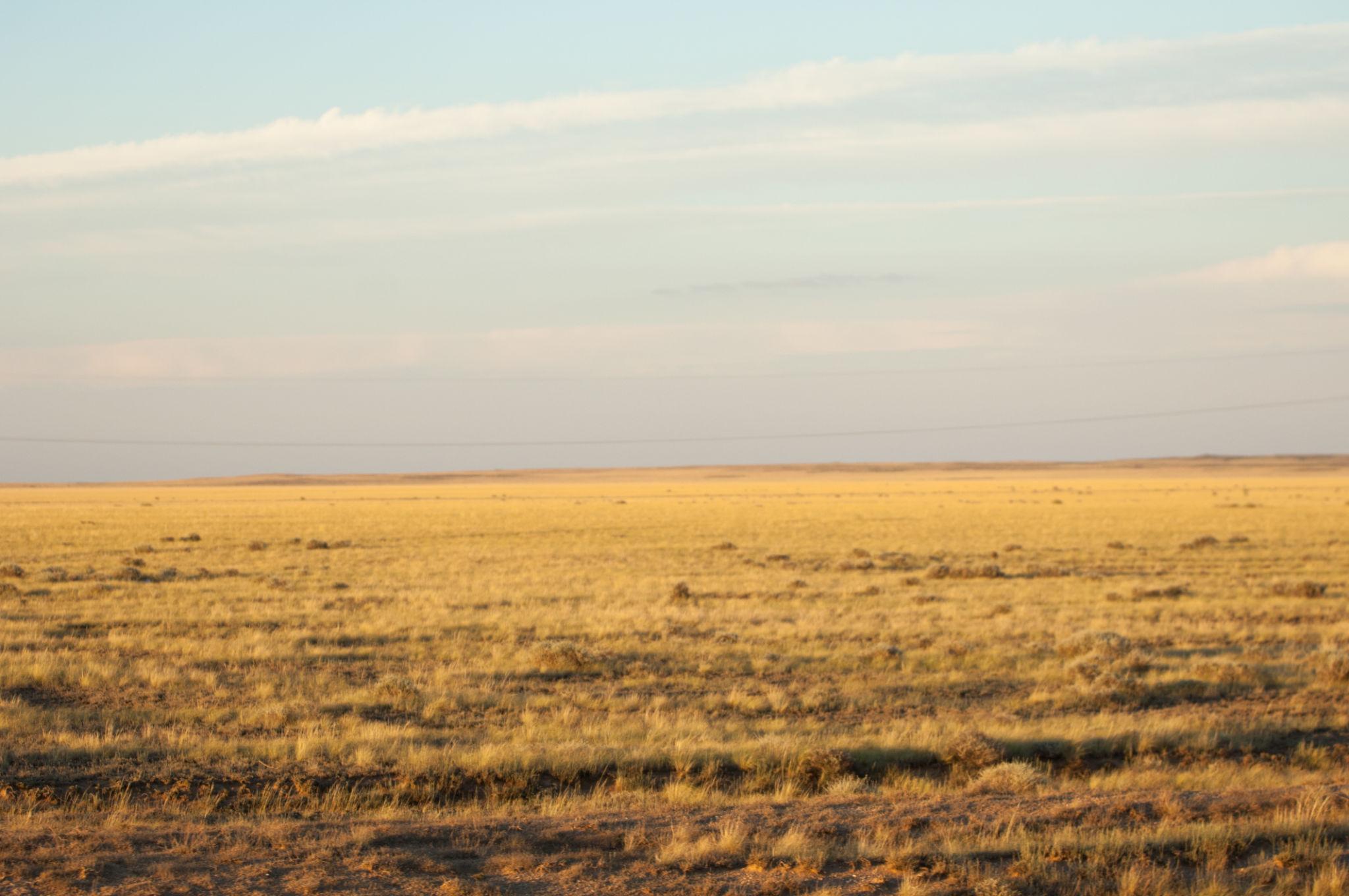 A wide open golden landscape beneath a quiet horizon