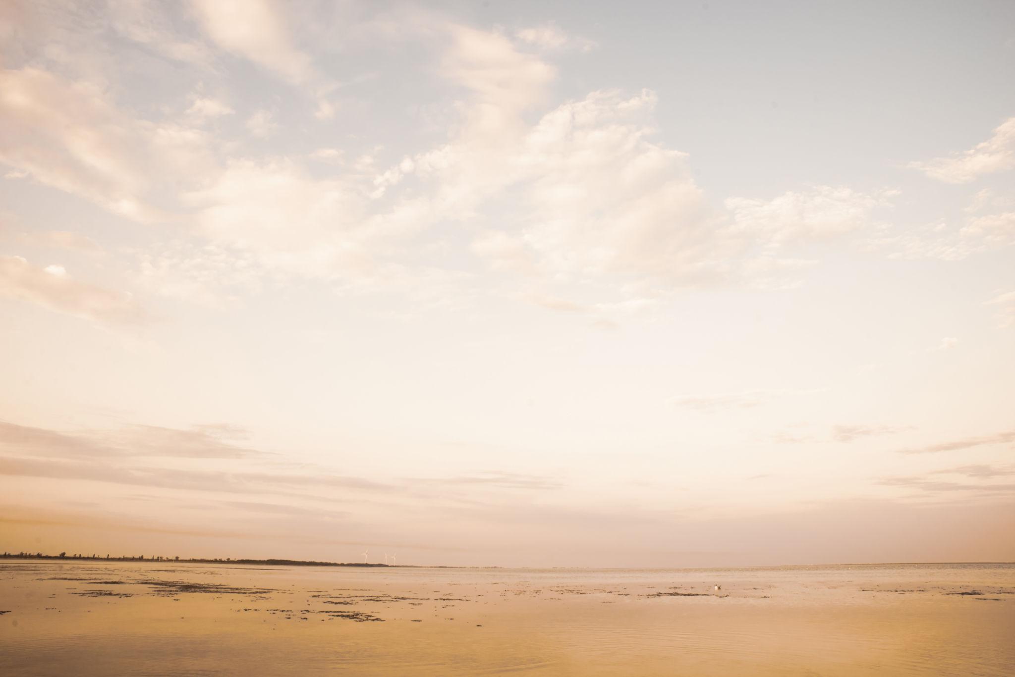Open horizon and expansive landscape in soft warm light