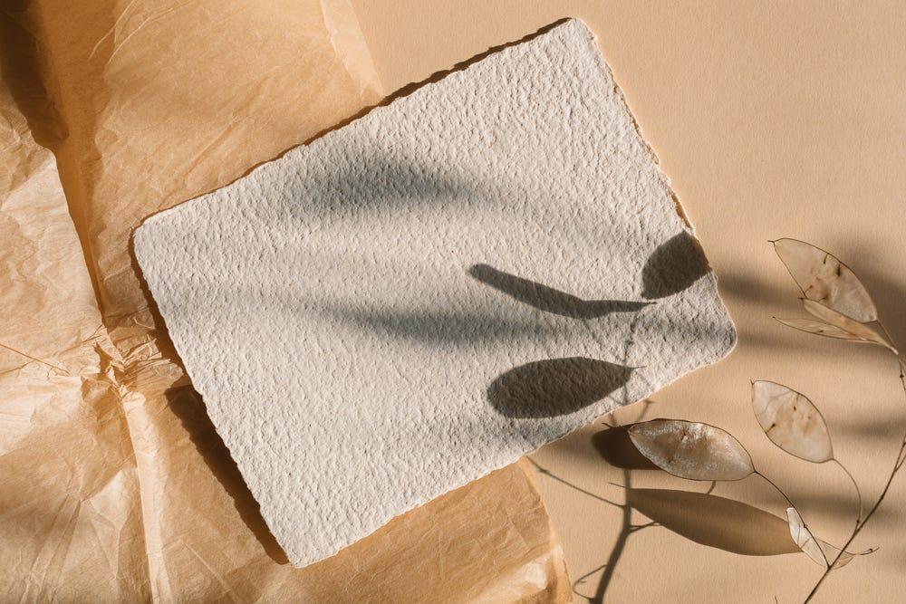 Textured paper and leaves in warm natural light and shadow